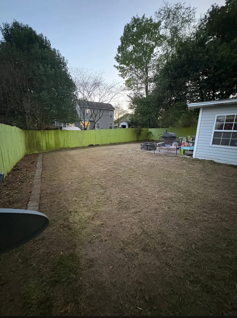 Backyard cleanup in Summerville — overgrowth cleared (after)